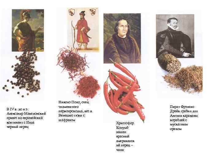 В IV в. до н. э. Александр Македонский привез на европейский континент с Инда