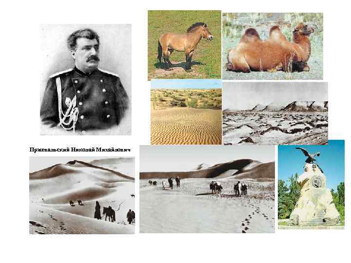 Пржевальский Николай Михайлович 