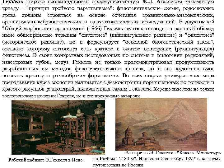 Геккель широко пропагандировал сформулированную Ж. Л. Агассисом знаменитую триаду - "принцип тройного параллелизма": филогенетические