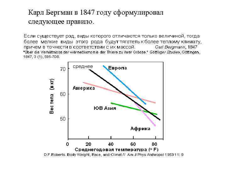 Карл Бергман в 1847 году сформулировал следующее правило. 
