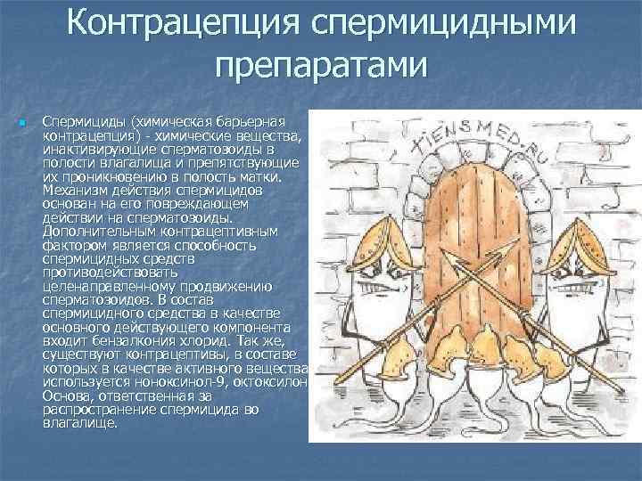 Контрацепция спермицидными препаратами n Спермициды (химическая барьерная контрацепция) - химические вещества, инактивирующие сперматозоиды в