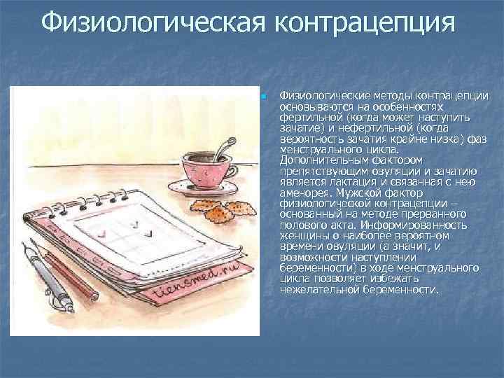 Физиологическая контрацепция n Физиологические методы контрацепции основываются на особенностях фертильной (когда может наступить зачатие)
