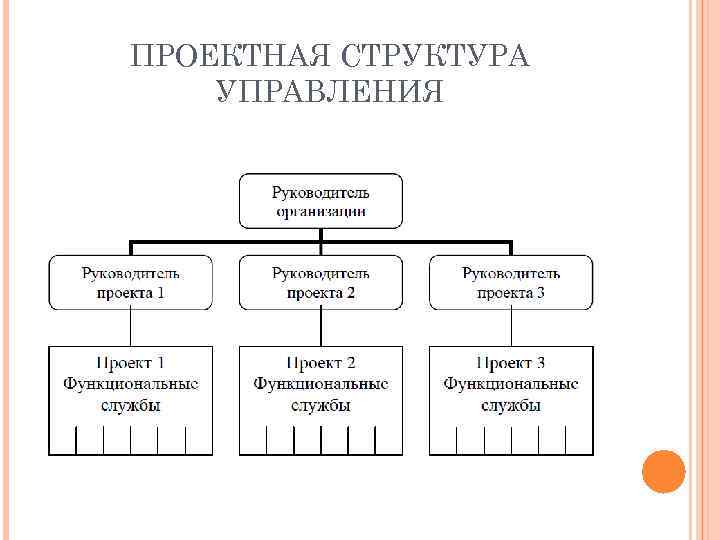 Проектная структура управления схема