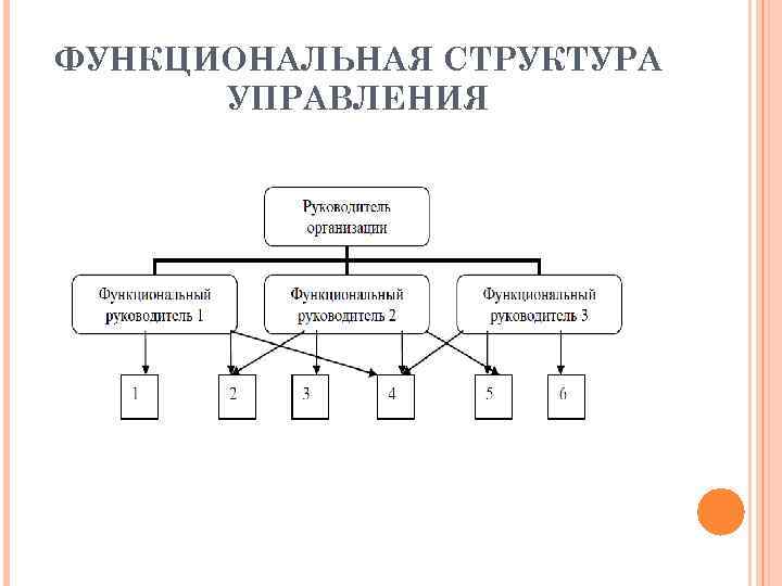 Функциональная организационная структура управления