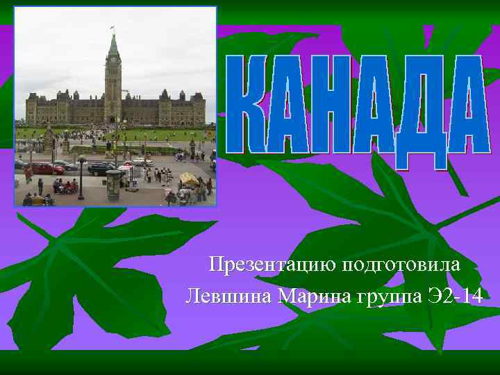 Презентацию подготовила Левшина Марина группа Э 2 -14 