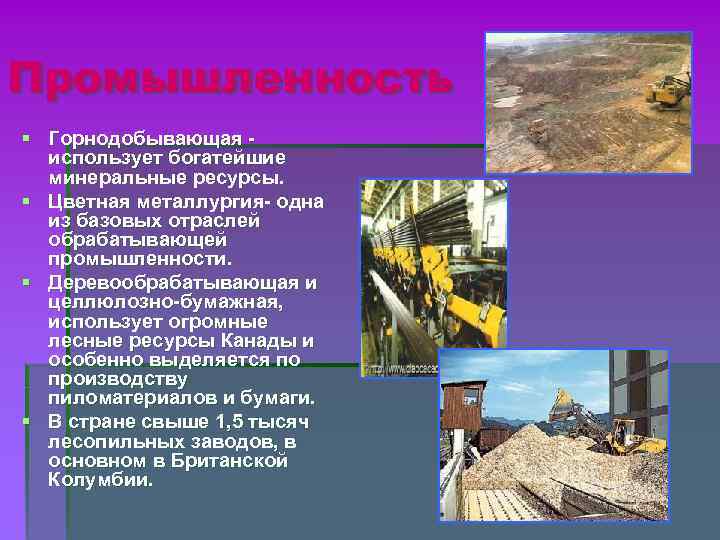 Промышленность § Горнодобывающая использует богатейшие минеральные ресурсы. § Цветная металлургия- одна из базовых отраслей