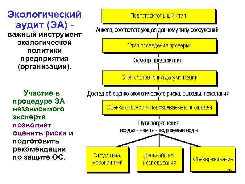 Организация экологического аудита. Экологический аудит. Этапы проведения аудита экологической политики.