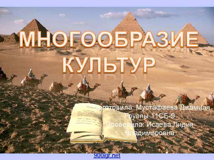 Подготовила: Мустафаева Джамиля Группы 11 СБ-9 Проверила: Исаева Лидия Владимировна 900 igr. net 