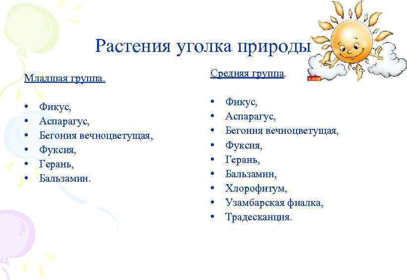 Растения уголка природы Младшая группа. • • • Фикус, Аспарагус, Бегония вечноцветущая, Фуксия, Герань,