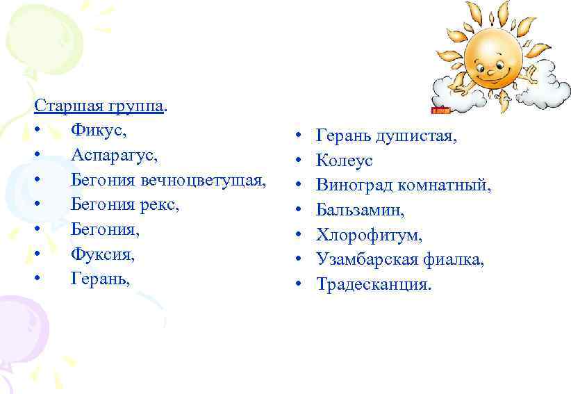 Старшая группа. • Фикус, • Аспарагус, • Бегония вечноцветущая, • Бегония рекс, • Бегония,