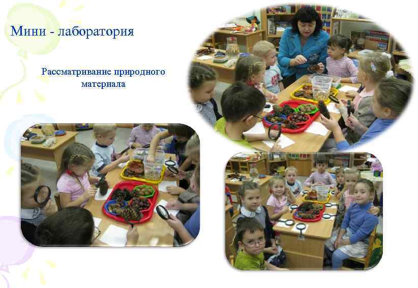 Мини - лаборатория Рассматривание природного материала 