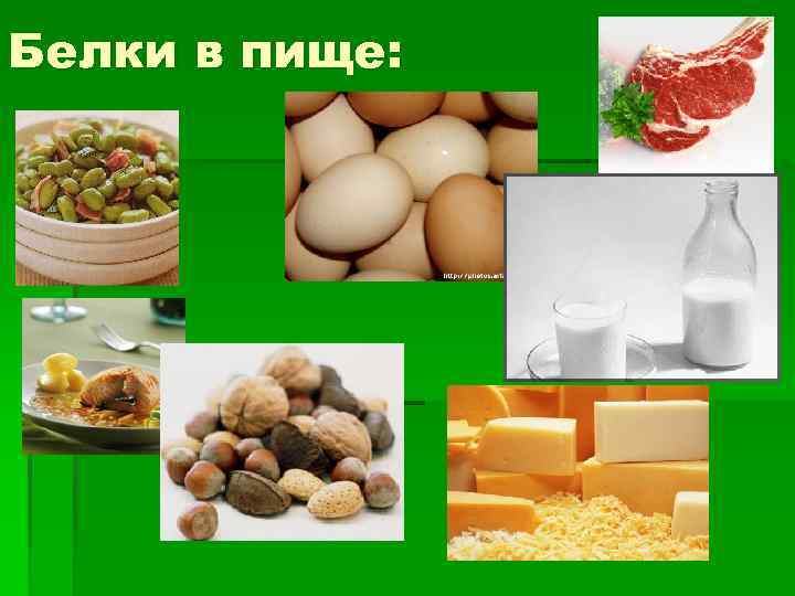 Белки в пище: 