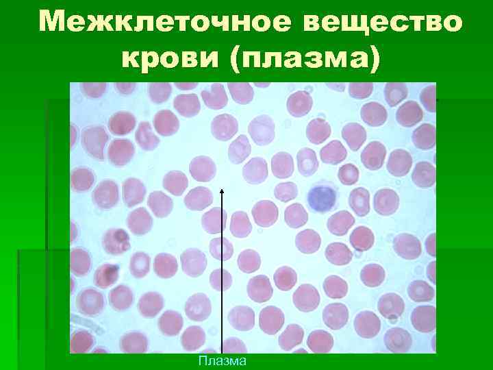 Межклеточное вещество крови (плазма) Плазма 