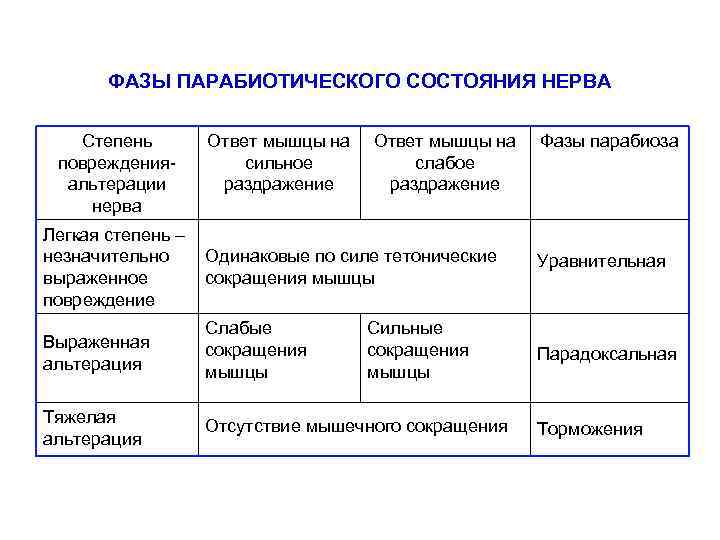 ФАЗЫ ПАРАБИОТИЧЕСКОГО СОСТОЯНИЯ НЕРВА Степень поврежденияальтерации нерва Ответ мышцы на сильное раздражение Ответ мышцы