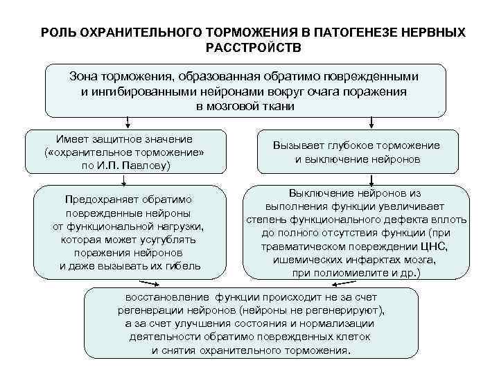 Охранительное значение имеет торможение