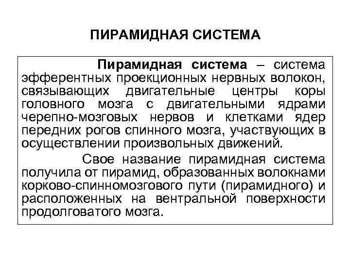 ПИРАМИДНАЯ СИСТЕМА Пирамидная система – система эфферентных проекционных нервных волокон, связывающих двигательные центры коры