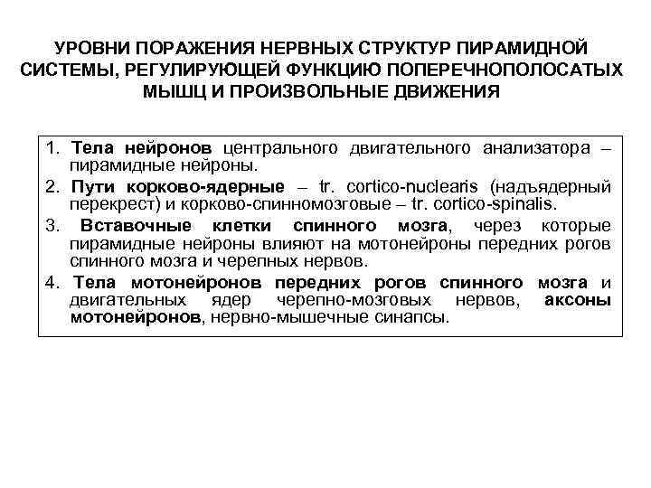 УРОВНИ ПОРАЖЕНИЯ НЕРВНЫХ СТРУКТУР ПИРАМИДНОЙ СИСТЕМЫ, РЕГУЛИРУЮЩЕЙ ФУНКЦИЮ ПОПЕРЕЧНОПОЛОСАТЫХ МЫШЦ И ПРОИЗВОЛЬНЫЕ ДВИЖЕНИЯ 1.