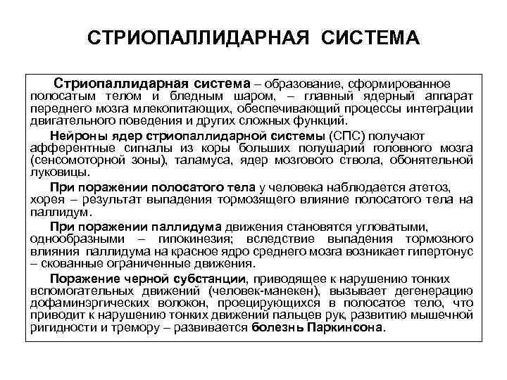 СТРИОПАЛЛИДАРНАЯ СИСТЕМА Стриопаллидарная система – образование, сформированное полосатым телом и бледным шаром, – главный
