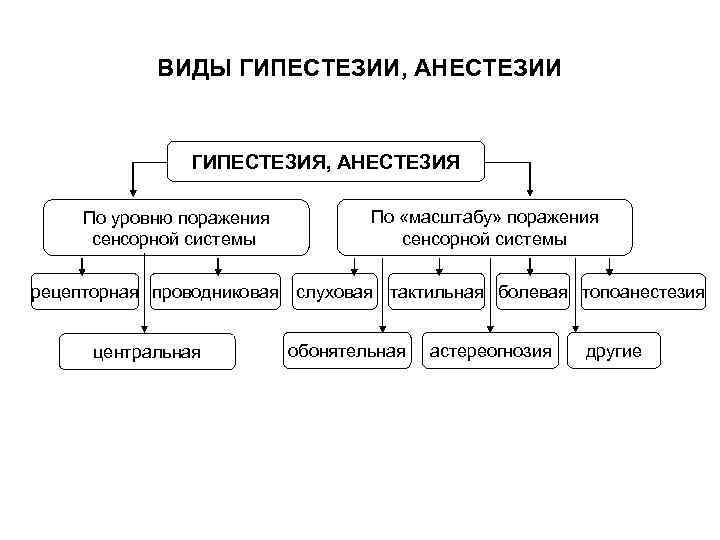 ВИДЫ ГИПЕСТЕЗИИ, АНЕСТЕЗИИ ГИПЕСТЕЗИЯ, АНЕСТЕЗИЯ По уровню поражения сенсорной системы По «масштабу» поражения сенсорной