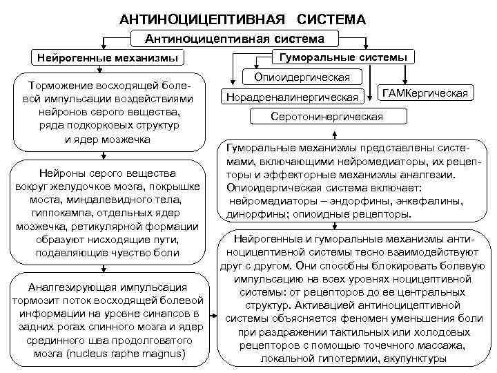 Схема антиноцицептивной системы