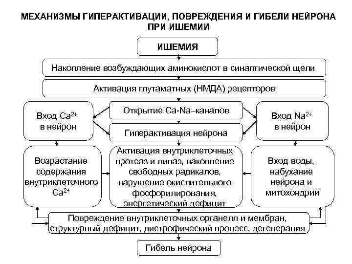 Схема старлинга патофизиология