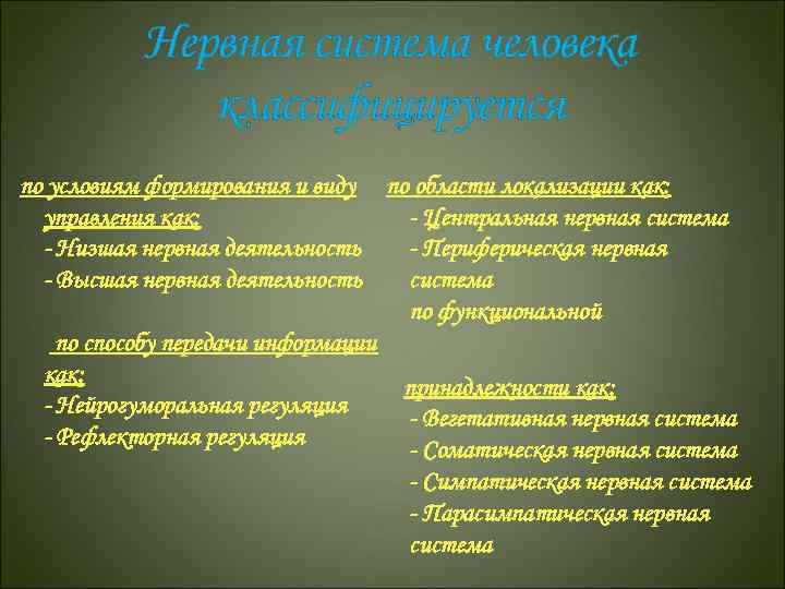 Нервная система человека классифицируется по условиям формирования и виду по области локализации как: -