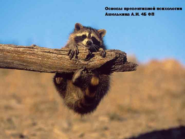 Основы превентивной психологии Амелькина А. И. 4 Б ФП 