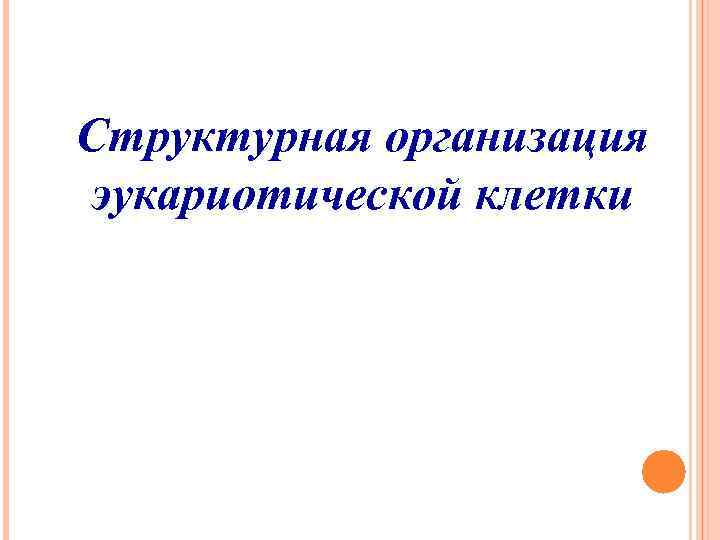 Структурная организация эукариотической клетки 