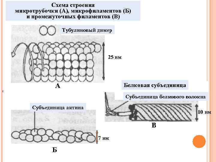 Винилсилан схема строения