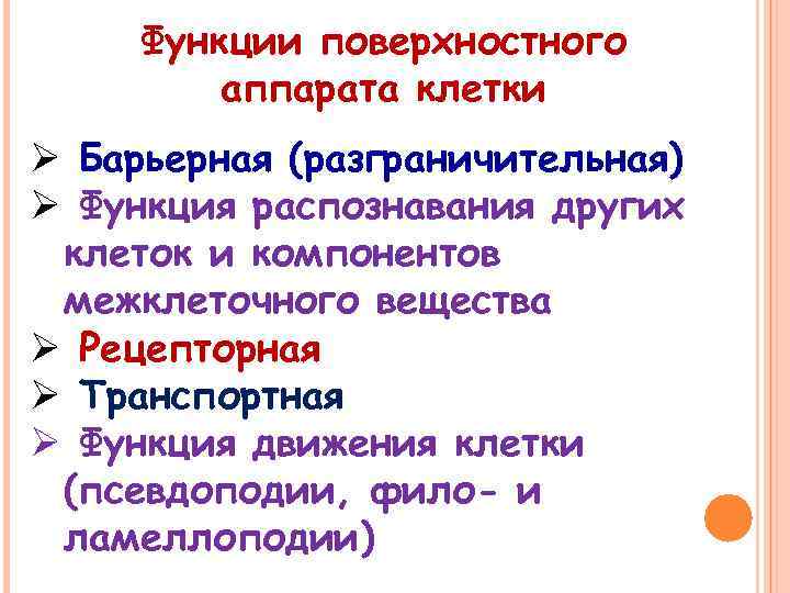 Функции поверхностного аппарата клетки Ø Барьерная (разграничительная) Ø Функция распознавания других клеток и компонентов