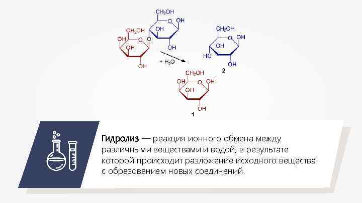Гидролиз — реакция ионного обмена между различными веществами и водой, в результате которой происходит