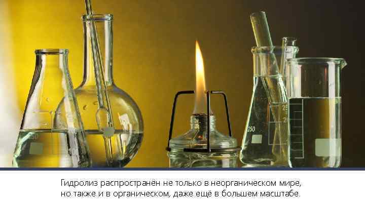 Гидролиз распространён не только в неорганическом мире, но также и в органическом, даже ещё