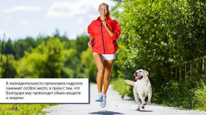 В жизнедеятельности организмов гидролиз занимает особое место, в связи с тем, что благодаря ему