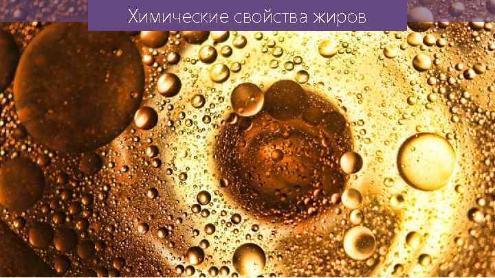 Химические свойства жиров 