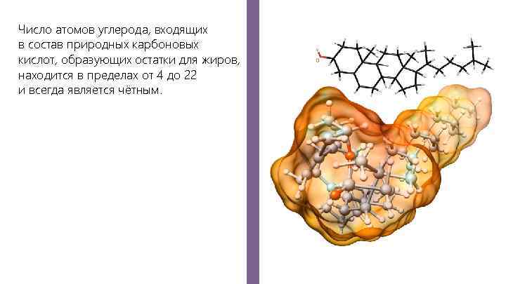 Число атомов углерода, входящих в состав природных карбоновых кислот, образующих остатки для жиров, находится