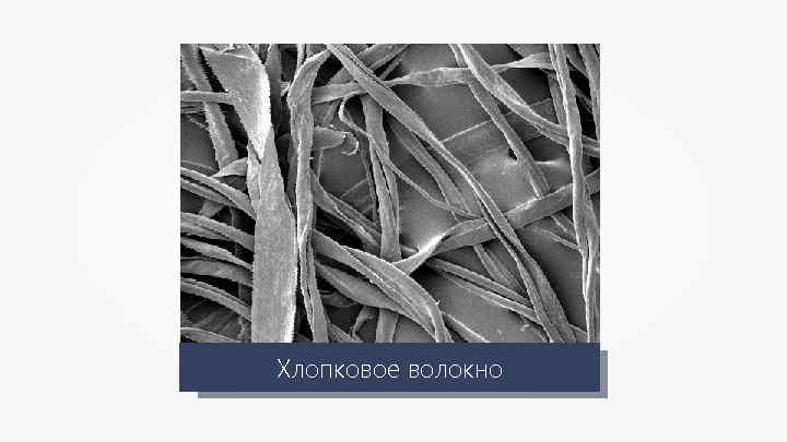 Хлопковое волокно 