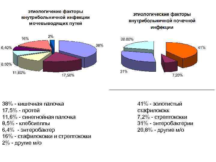 38% - кишечная палочка 17, 5% - протей 11, 6% - синегнойная палочка 8,