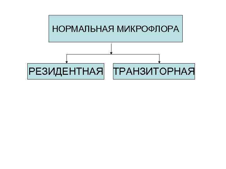 Транзиторная микрофлора. Резидентная микрофлора это транзиторная микрофлора это. Понятие о резидентной и транзиторной микрофлоре.. Транзиторная и резидентная Флора. Классификация резидентная микрофлора.