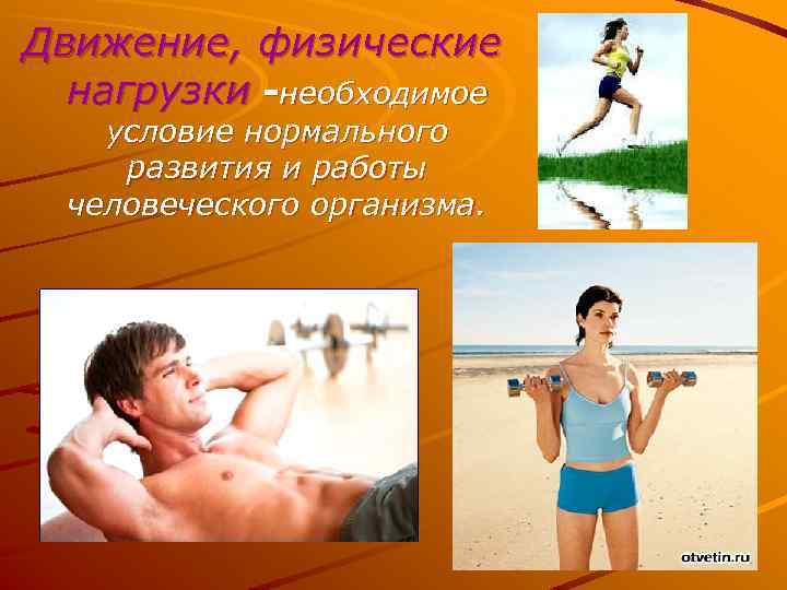 Движение, физические нагрузки -необходимое условие нормального развития и работы человеческого организма. 