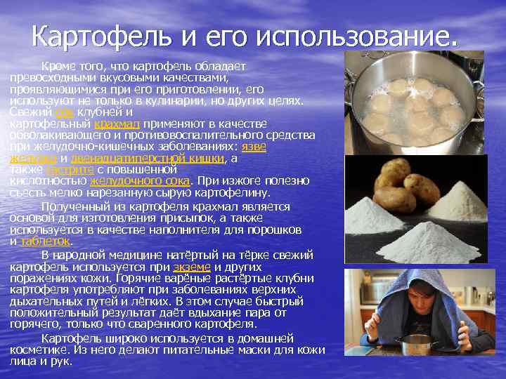 Картофель и его использование. Кроме того, что картофель обладает превосходными вкусовыми качествами, проявляющимися при