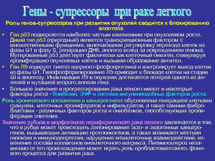 Роль генов-супрессоров при развитии опухолей сводится к блокированию апоптоза. • Ген р53 подвергается наиболее