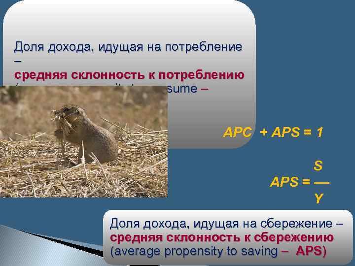 Доля дохода, идущая на потребление – C средняя склонность к потреблению APC (average propensity
