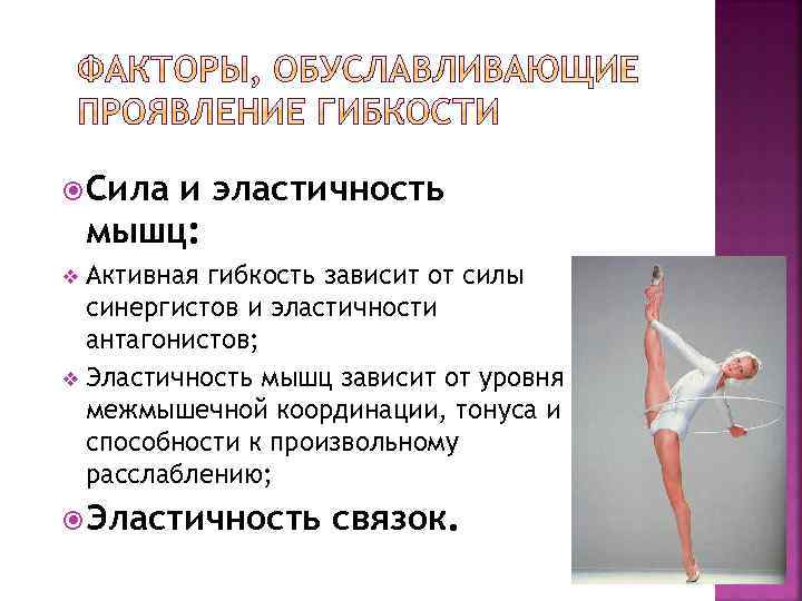  Сила и эластичность мышц: Активная гибкость зависит от силы синергистов и эластичности антагонистов;
