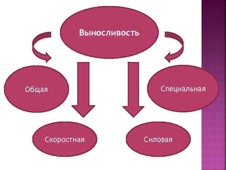 Выносливость Общая Скоростная Специальная Силовая 