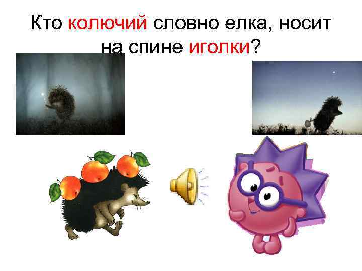 Кто колючий словно елка, носит на спине иголки? 