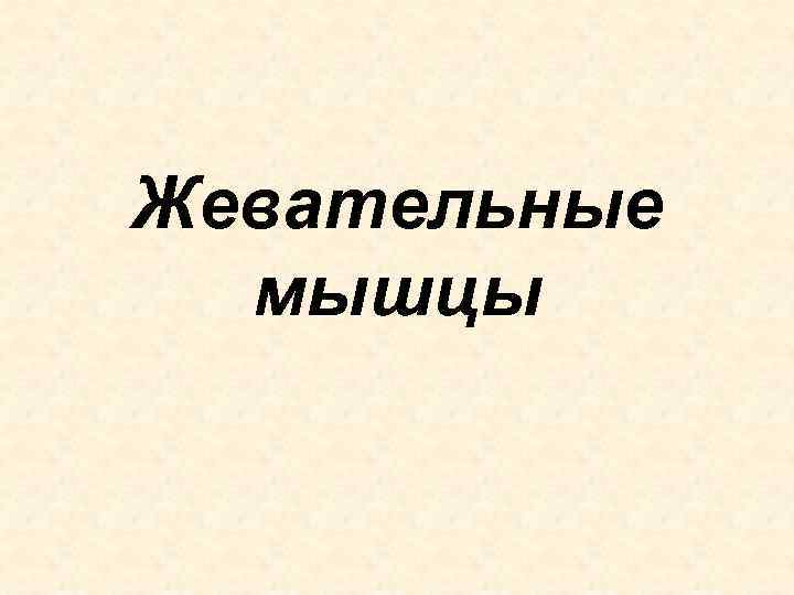 Жевательные мышцы 