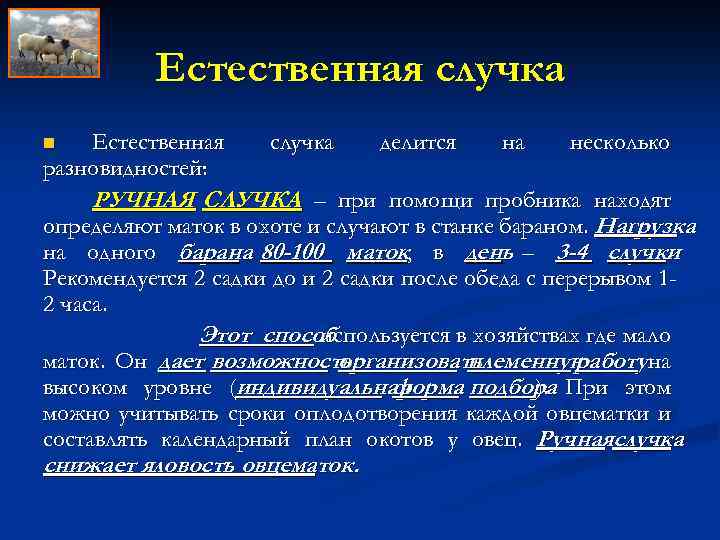 Естественная случка Естественная разновидностей: n случка делится на несколько РУЧНАЯ СЛУЧКА – при помощи