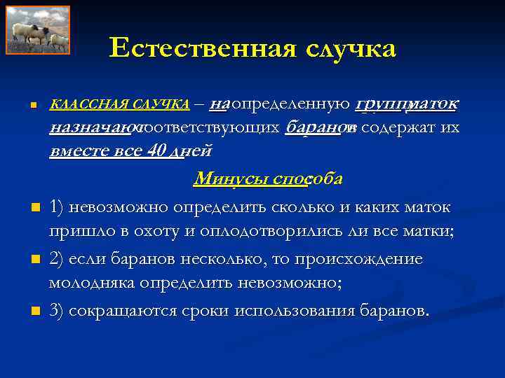 Естественная случка n n – на определенную группу маток назначают соответствующих баранов содержат их