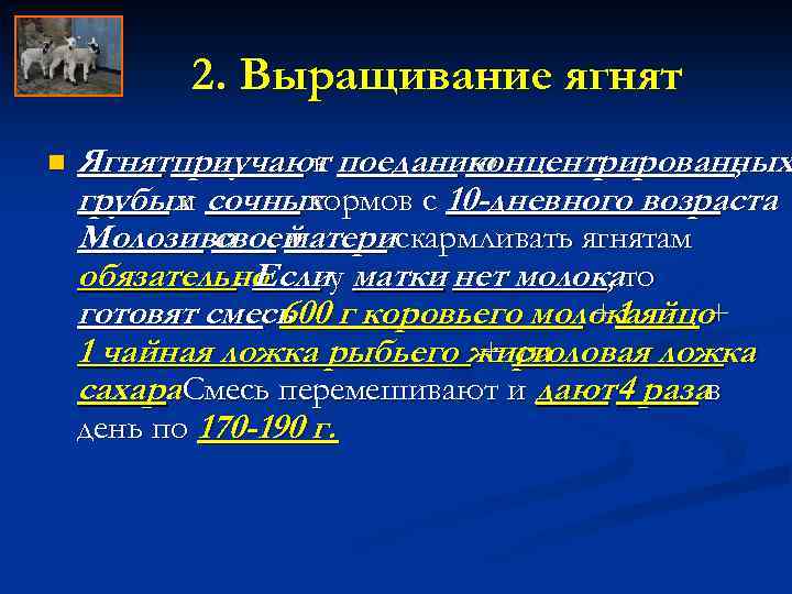 2. Выращивание ягнят n Ягнятприучают поеданию к концентрированных , грубых сочных и кормов с