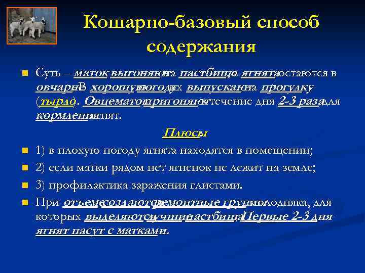 Кошарно-базовый способ содержания n n n Суть – маток выгоняют пастбище ягнятаостаются в на